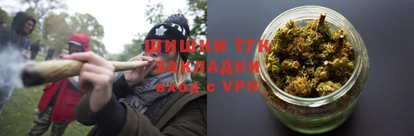 сатива Аркадак