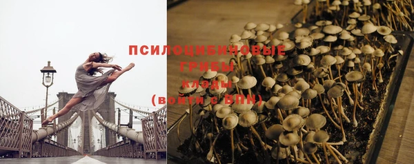 стафф Армянск