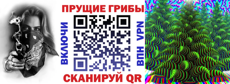 наркотики  Катайск  Псилоцибиновые грибы ЛСД 